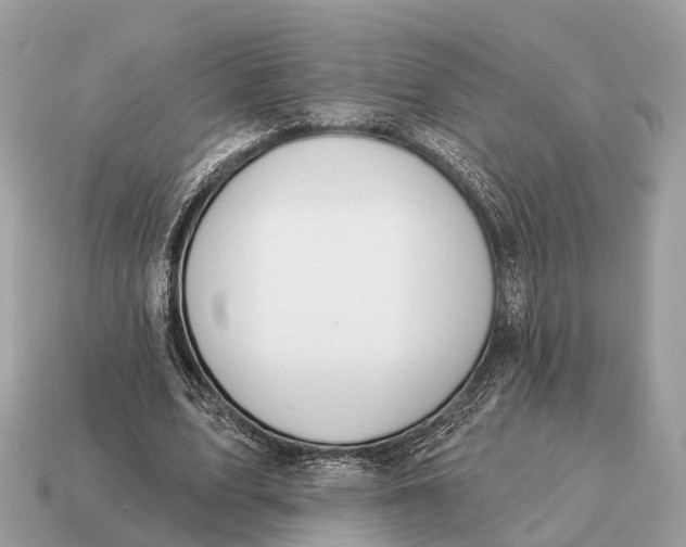 X0000115130583200911101649