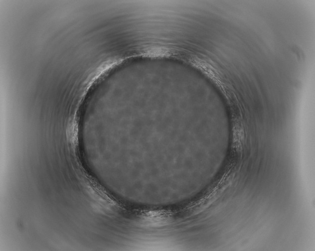 X0000115130584200911101649