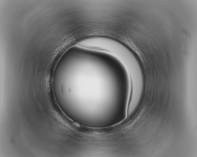 X0000115130585200911101649