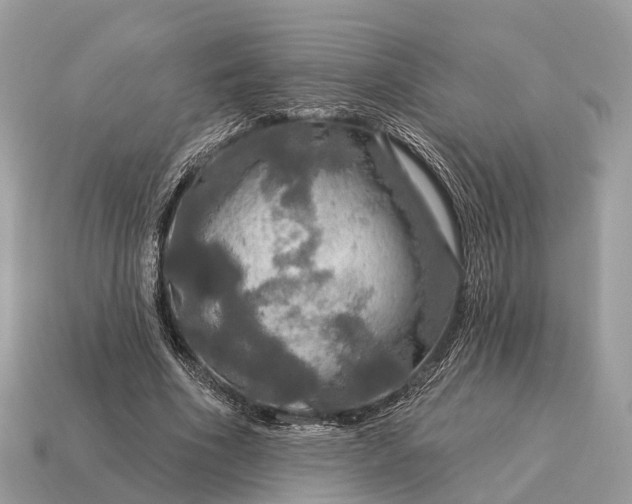 X0000115130586200911101649
