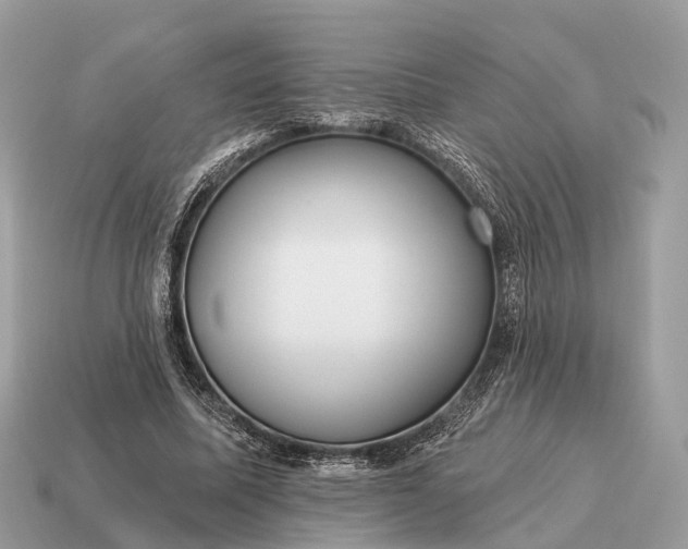 X0000115130587200911101649