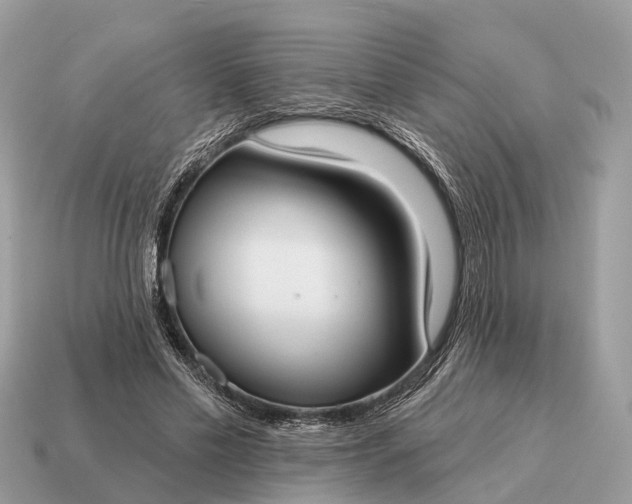 X0000115130589200911101649
