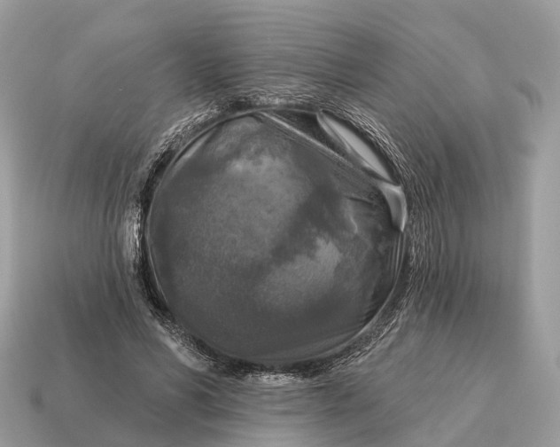 X0000115130590200911101649