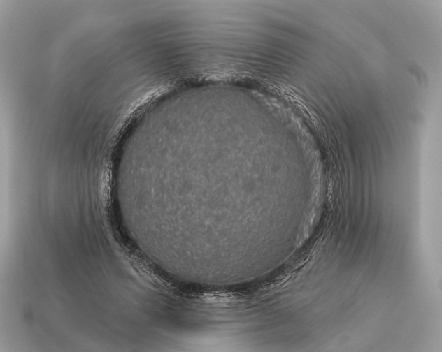 X0000115130591200911101649
