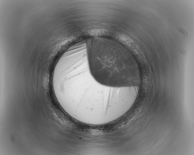 X0000115130592200911101649