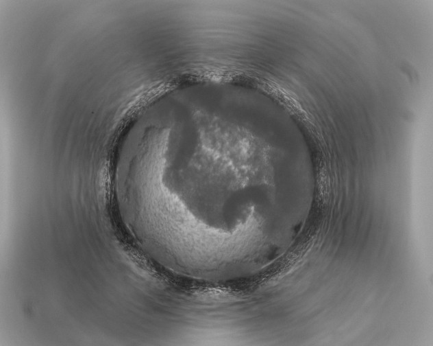X0000115130594200911101648