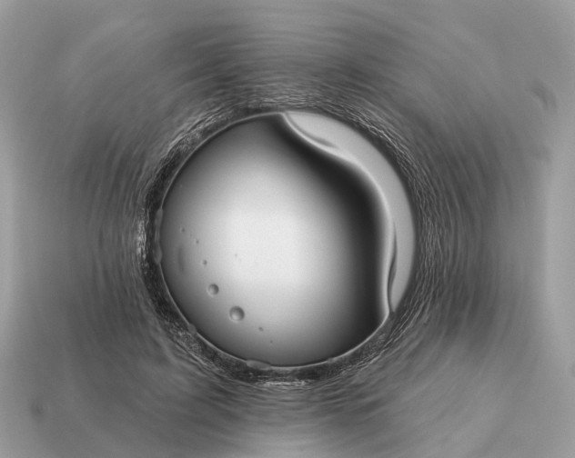 X0000115130595200911101648