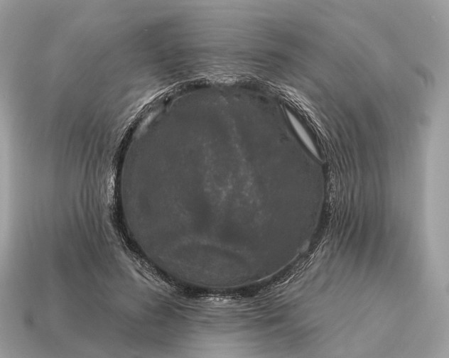 X0000115130596200911101648
