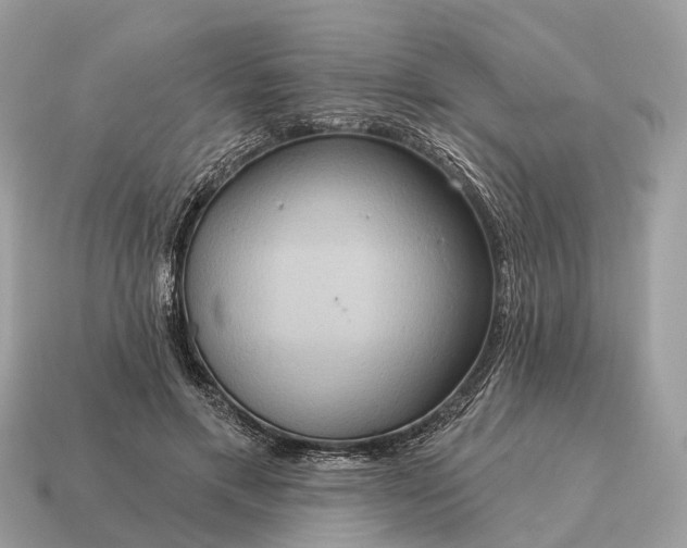 X0000115130597200911101648