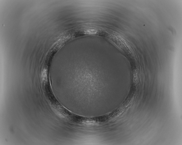 X0000115130598200911101648
