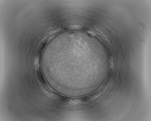 X0000115130599200911101648