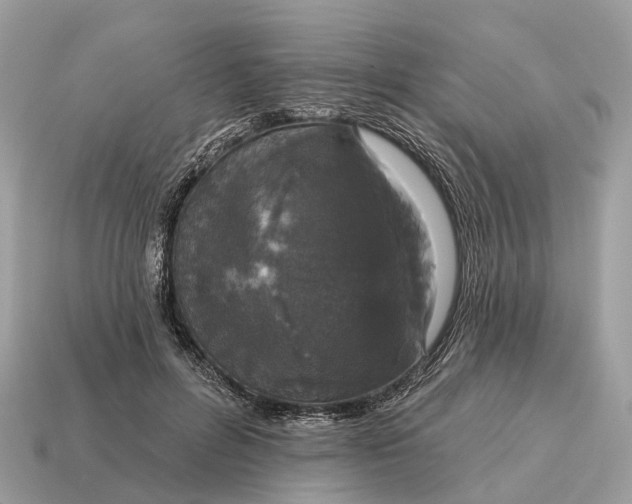 X0000115130600200911101648