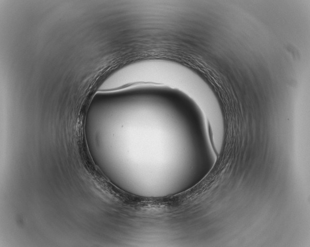 X0000115130601200911101648