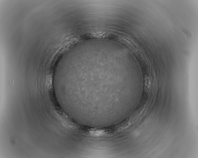 X0000115130602200911101648