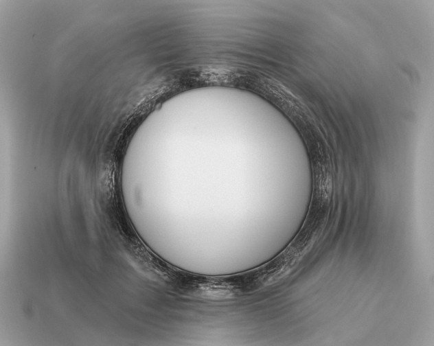 X0000115130603200911101648