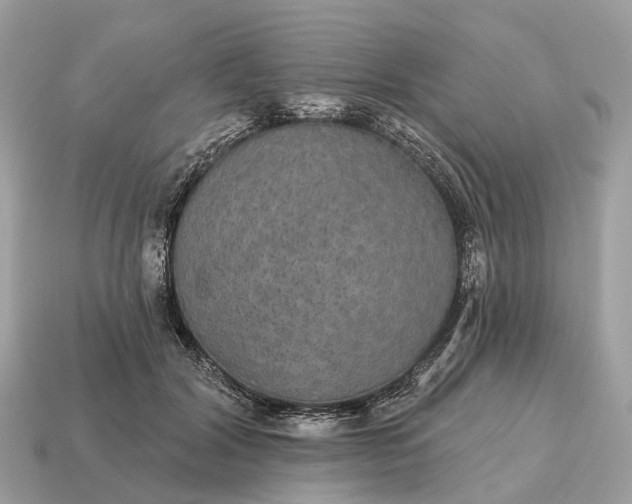 X0000115130604200911101648