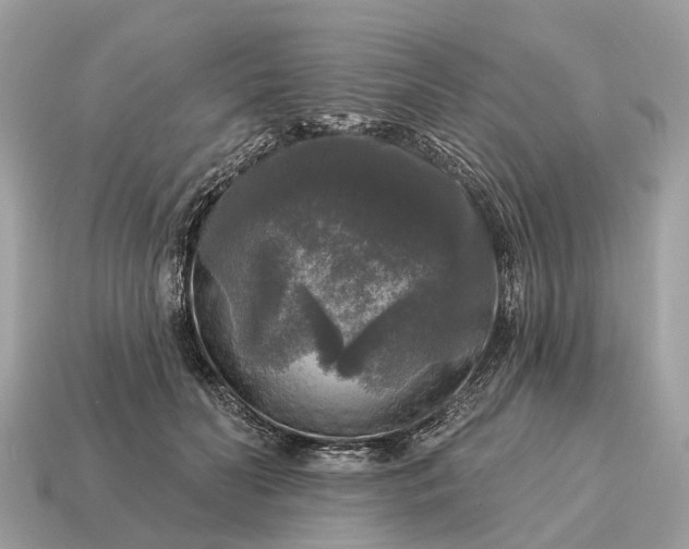 X0000115130606200911101648