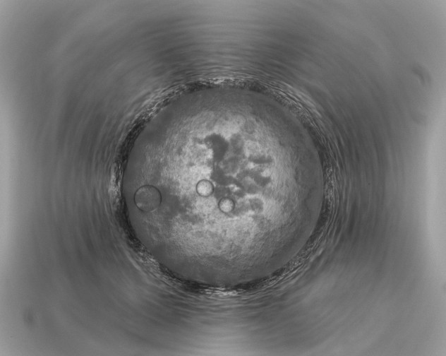 X0000115130607200911101648