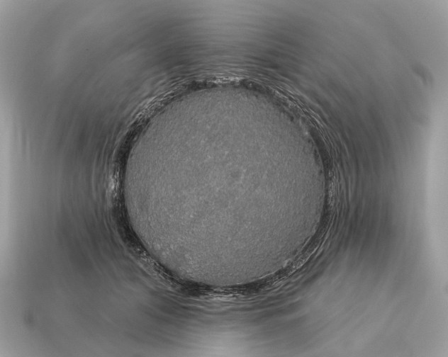X0000115130608200911101648
