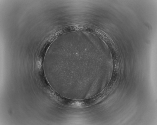 X0000115130610200911101648