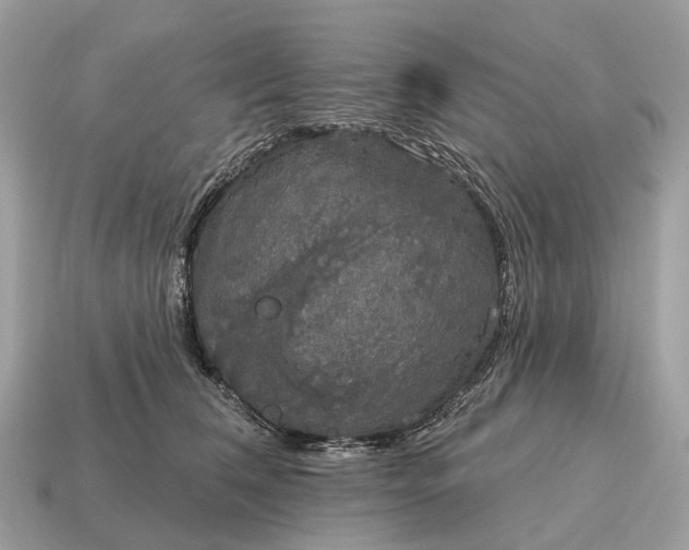 X0000115130612200911101648