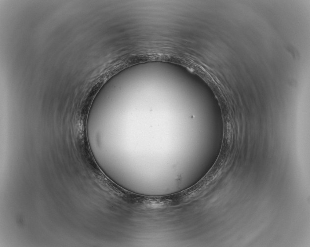 X0000115130613200911101648