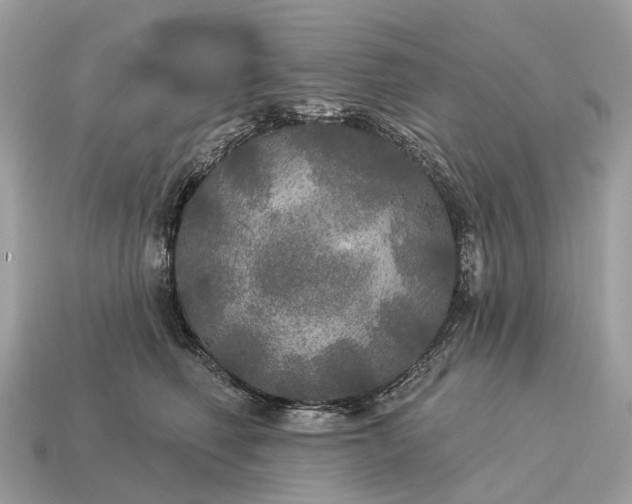 X0000115130614200911101648