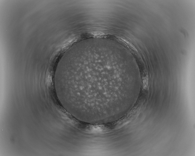 X0000115130618200911101648