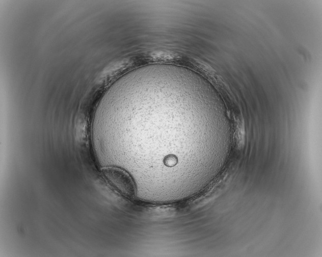 X0000115130619200911101648