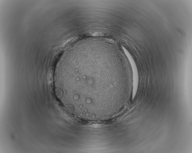 X0000115130620200911101648