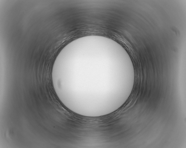 X0000115130621200911101648