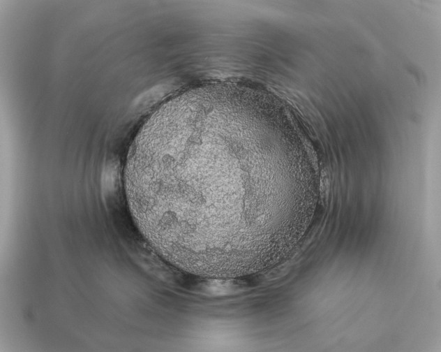 X0000115130623200911101648