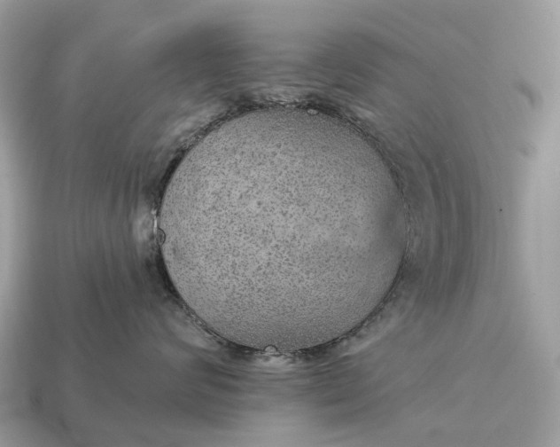 X0000115130624200911101648