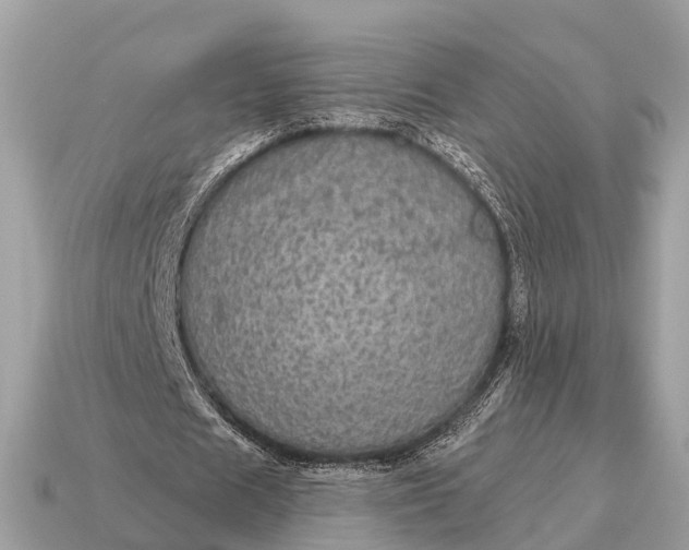 X0000115130625200911101647