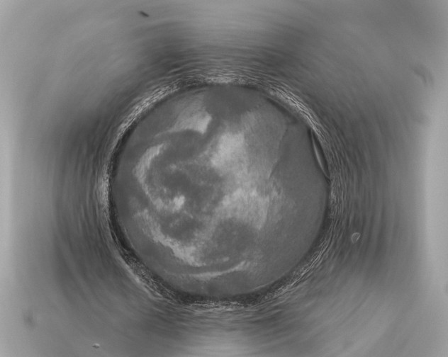 X0000115130626200911101647