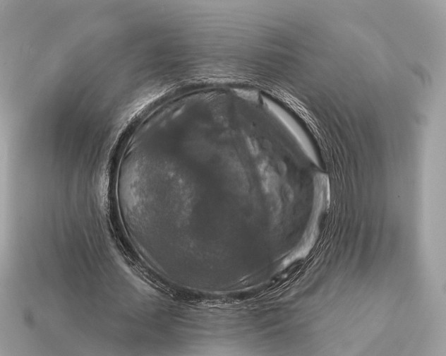 X0000115130627200911101647