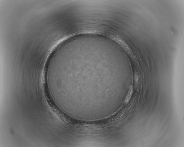 X0000115130628200911101648