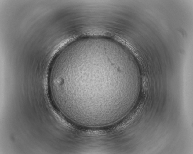 X0000115130629200911101648