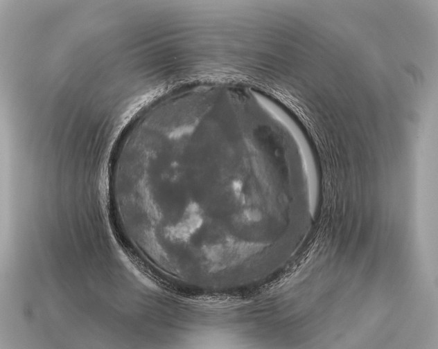 X0000115130630200911101648