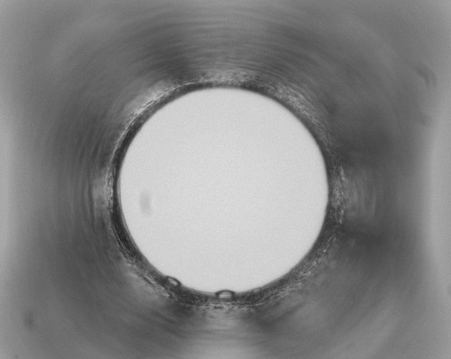 X0000115130632200911101648