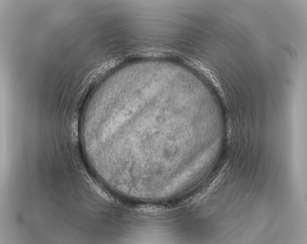 X0000115130633200911101648