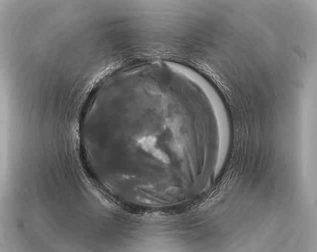 X0000115130634200911101648