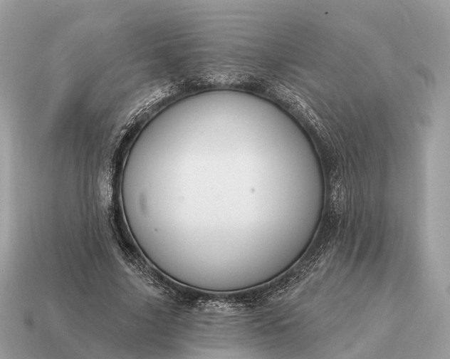 X0000115130635200911101648