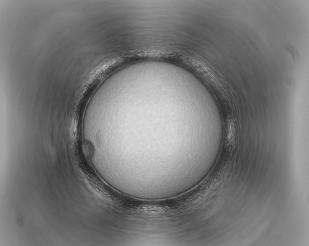 X0000115130636200911101648