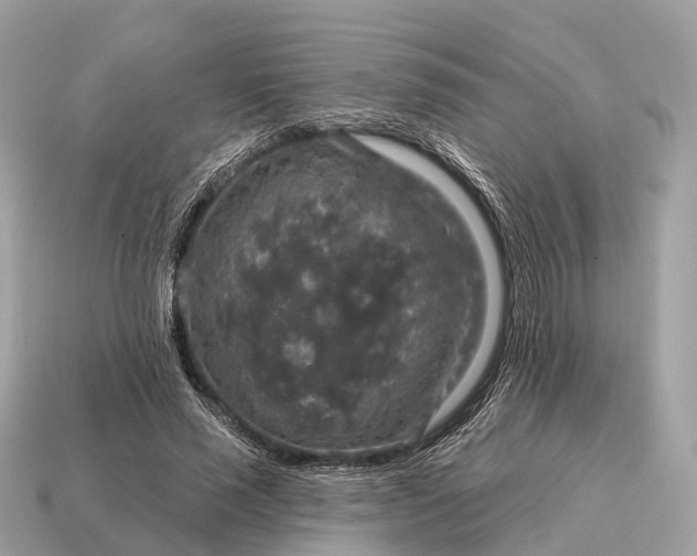X0000115130637200911101648