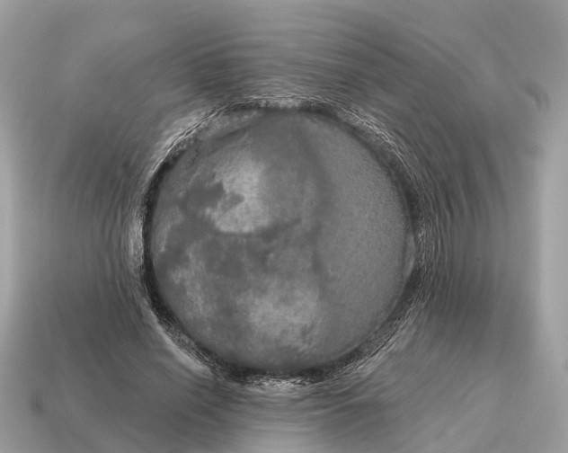X0000115130638200911101648