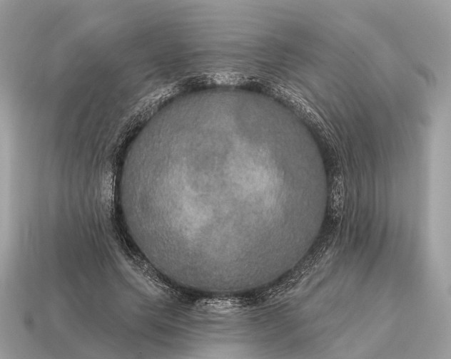 X0000115130639200911101648