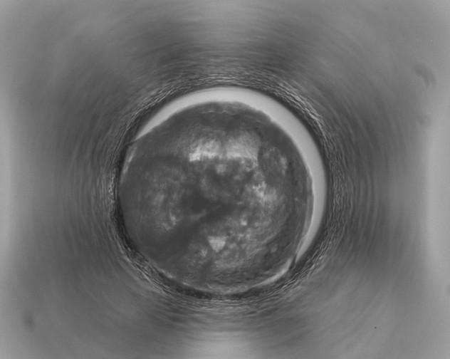 X0000115130641200911101648