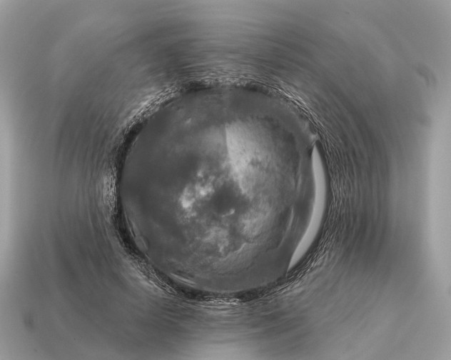 X0000115130642200911101648