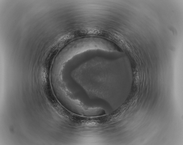 X0000115130643200911101648